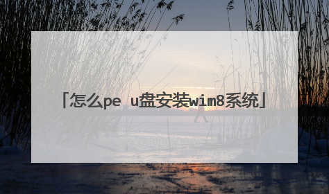 怎么pe u盘安装wim8系统