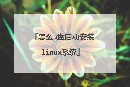 怎么u盘启动安装linux系统