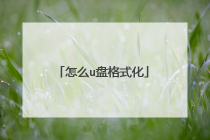 怎么u盘格式化
