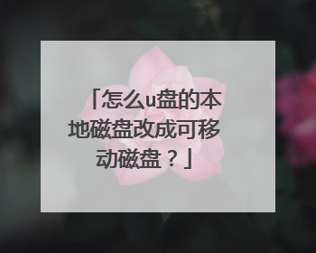 怎么u盘的本地磁盘改成可移动磁盘?