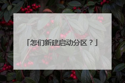 怎们新建启动分区?