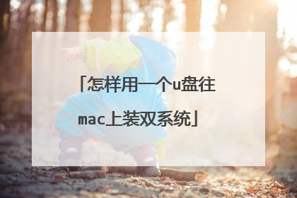 怎样用一个u盘往mac上装双系统