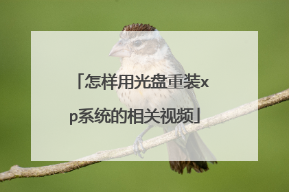 怎样用光盘重装xp系统的相关视频