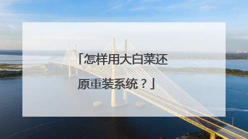怎样用大白菜还原重装系统?