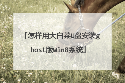 怎样用大白菜U盘安装ghost版Win8系统