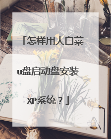 怎样用大白菜u盘启动盘安装XP系统？