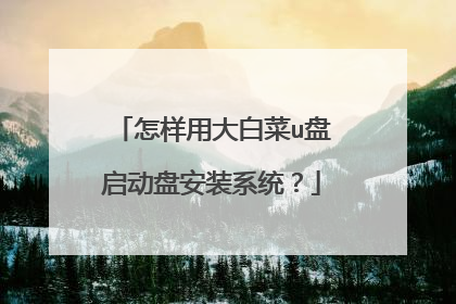 怎样用大白菜u盘启动盘安装系统？