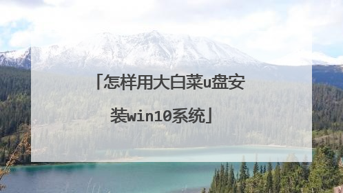 怎样用大白菜u盘安装win10系统