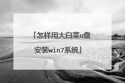 怎样用大白菜u盘安装win7系统