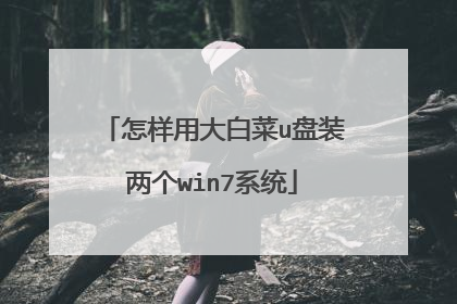 怎样用大白菜u盘装两个win7系统