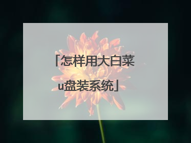 怎样用大白菜u盘装系统