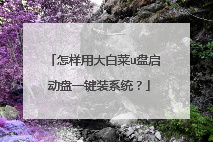怎样用大白菜u盘启动盘一键装系统？