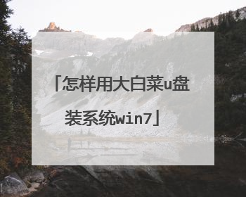 怎样用大白菜u盘装系统win7