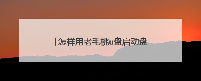 怎样用老毛桃u盘启动盘2014装机版重装系统