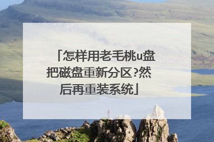 怎样用老毛桃u盘把磁盘重新分区?然后再重装系统