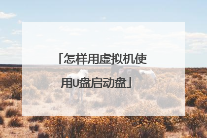 怎样用虚拟机使用U盘启动盘