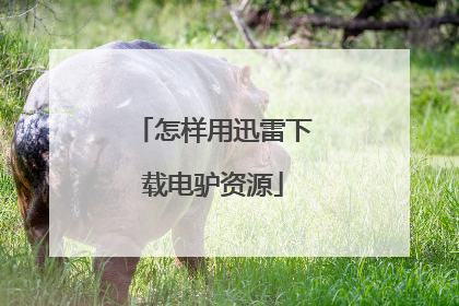 怎样用迅雷下载电驴资源