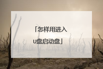怎样用进入U盘启动盘