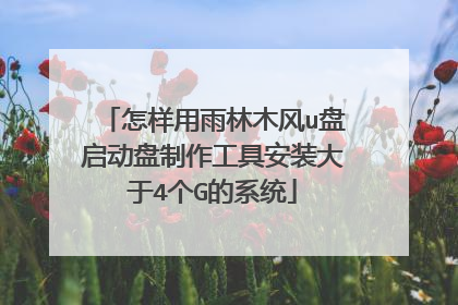 怎样用雨林木风u盘启动盘制作工具安装大于4个G的系统