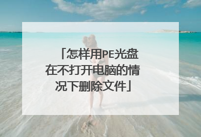 怎样用PE光盘在不打开电脑的情况下删除文件