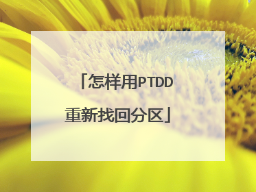 怎样用PTDD重新找回分区
