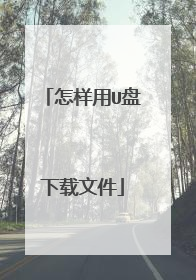 怎样用U盘下载文件