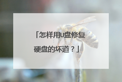 怎样用U盘修复硬盘的坏道？