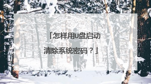怎样用U盘启动清除系统密码?