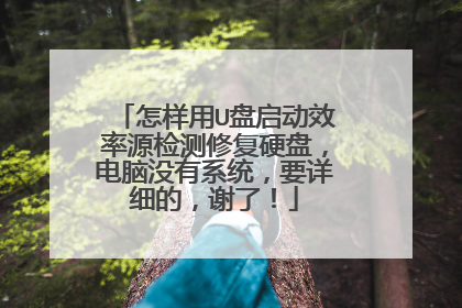 怎样用U盘启动效率源检测修复硬盘，电脑没有系统，要详细的，谢了！