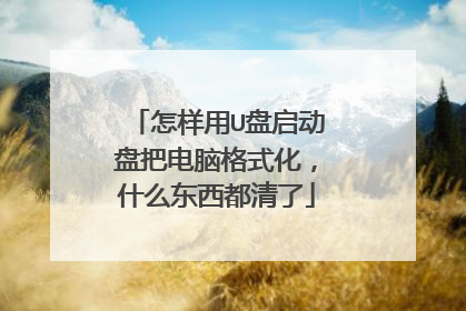 怎样用U盘启动盘把电脑格式化,什么东西都清了