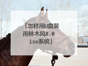 怎样用U盘装 雨林木风8.0 iso系统