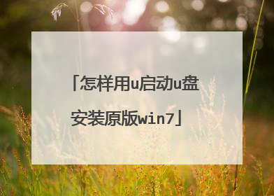 怎样用u启动u盘安装原版win7