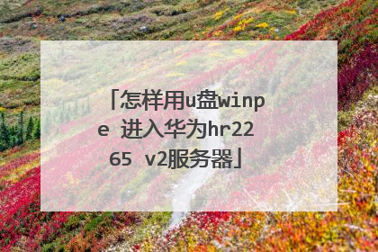 怎样用u盘winpe 进入华为hr2265 v2服务器