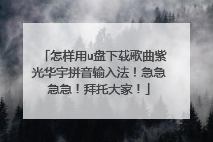 怎样用u盘下载歌曲紫光华宇拼音输入法!急急急急!拜托大家!