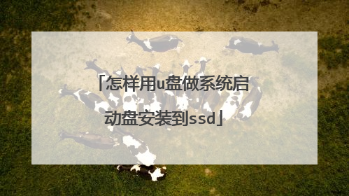 怎样用u盘做系统启动盘安装到ssd