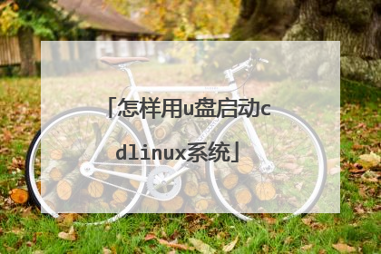 怎样用u盘启动cdlinux系统