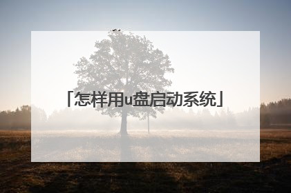 怎样用u盘启动系统