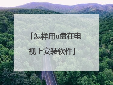 怎样用u盘在电视上安装软件