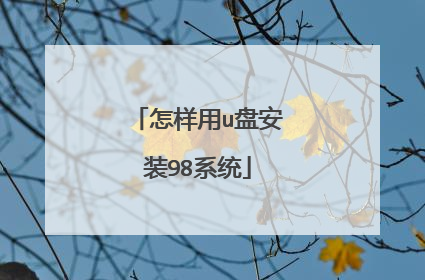 怎样用u盘安装98系统