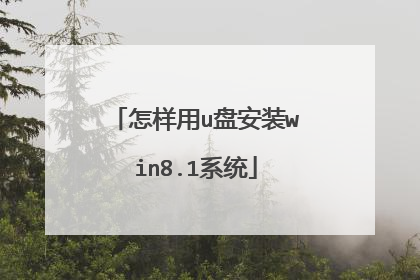 怎样用u盘安装win8.1系统