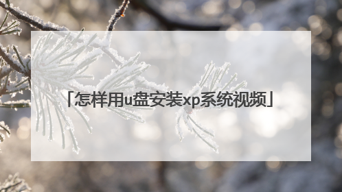 怎样用u盘安装xp系统视频