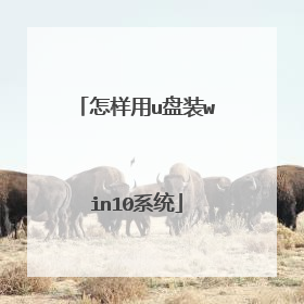 怎样用u盘装win10系统