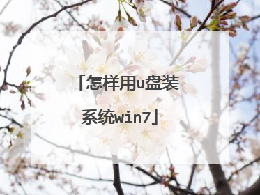 怎样用u盘装系统win7