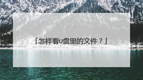 怎样看U盘里的文件?