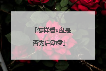 怎样看u盘是否为启动盘