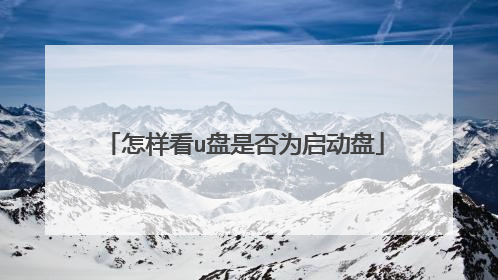 怎样看u盘是否为启动盘