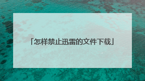怎样禁止迅雷的文件下载