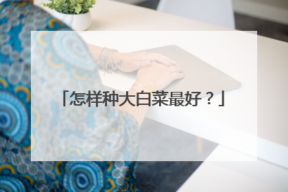 怎样种大白菜最好?