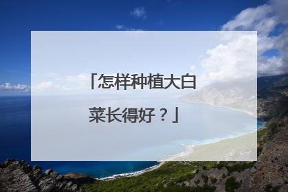 怎样种植大白菜长得好?