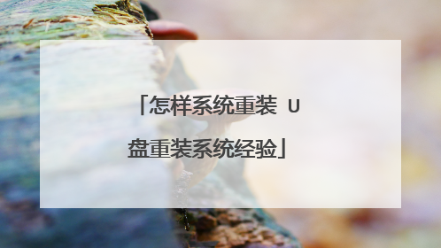 怎样系统重装 U盘重装系统经验